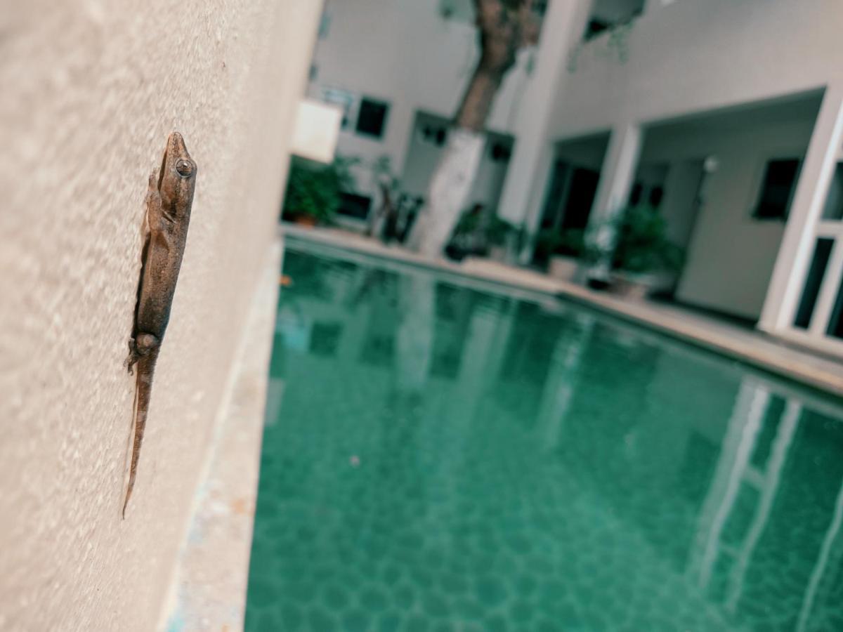 Cozy Zazil-ha Apartahotel