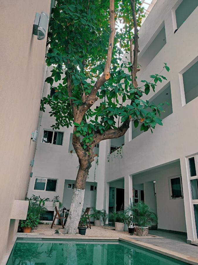 Cozy Zazil-ha *